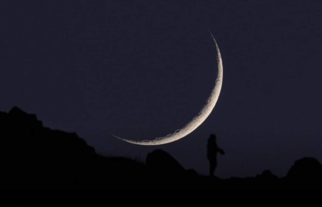 FB IMG 1712605809201