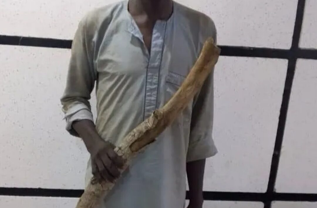 Screenshot 20240827 121408 Chrome