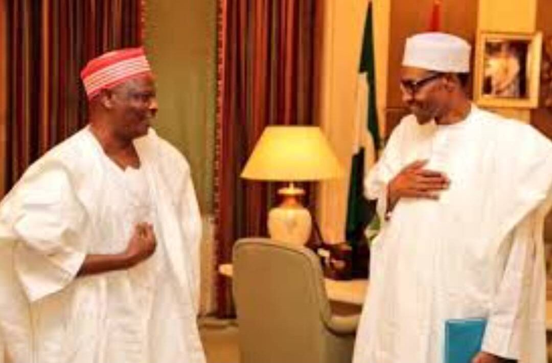 IMG 143504 23725 1753277715974