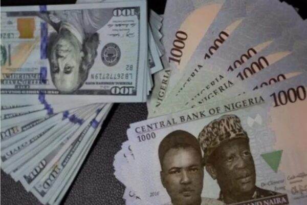 FB IMG 1759331116655