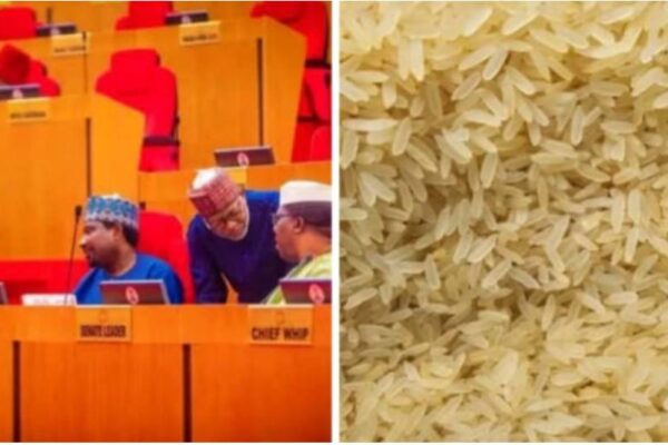 IMG 224335 281025 1761687845705