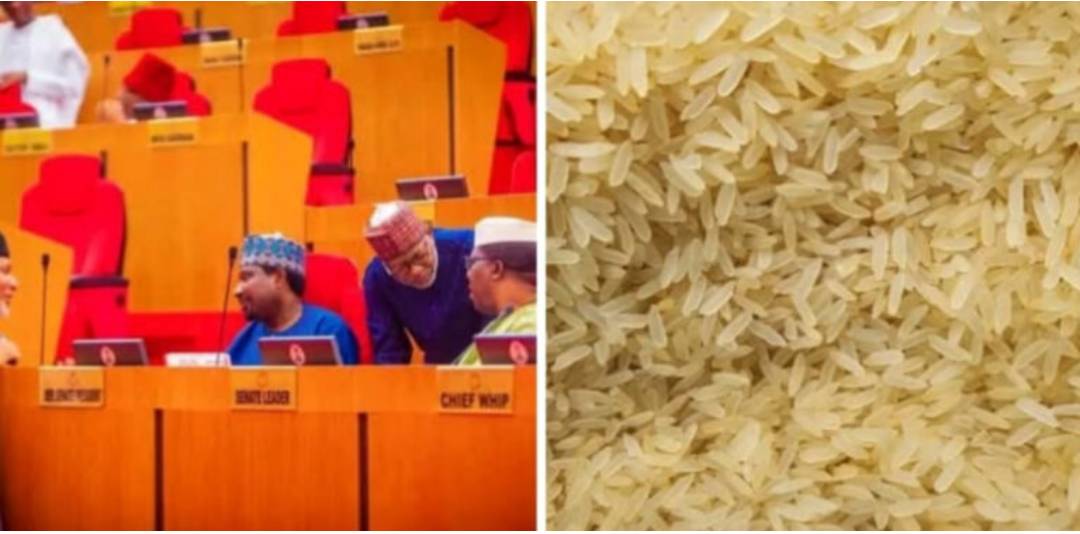 IMG 224335 281025 1761687845705