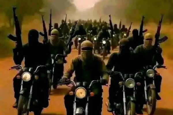 FB IMG 1763718247926