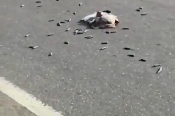 FB IMG 1764165657897