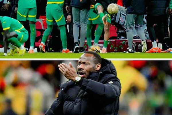 FB IMG 1769669165692