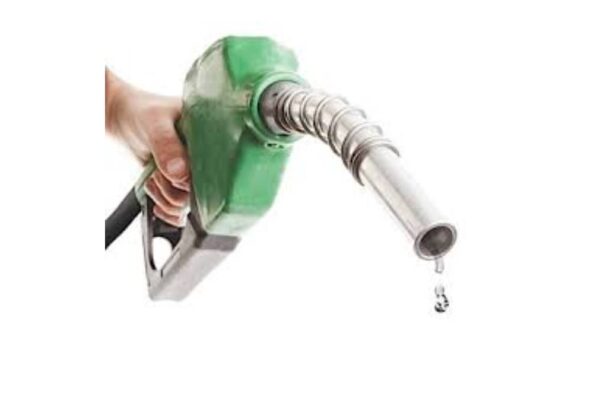 IMG 192616 31126 1769884007206