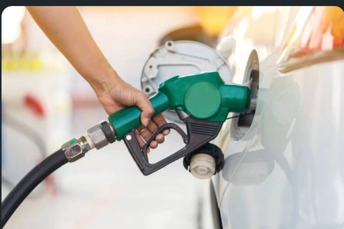 IMG 222905 31126 1769894958576