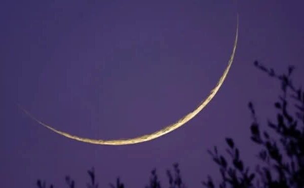 FB IMG 1771358817039