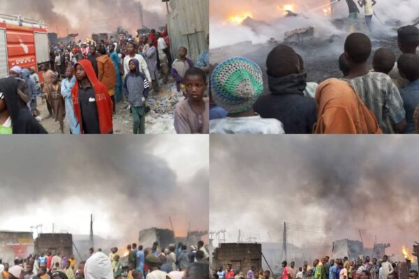 IMG 113111 20226 1771583482090