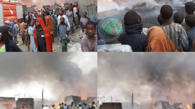 IMG 113111 20226 1771583482090