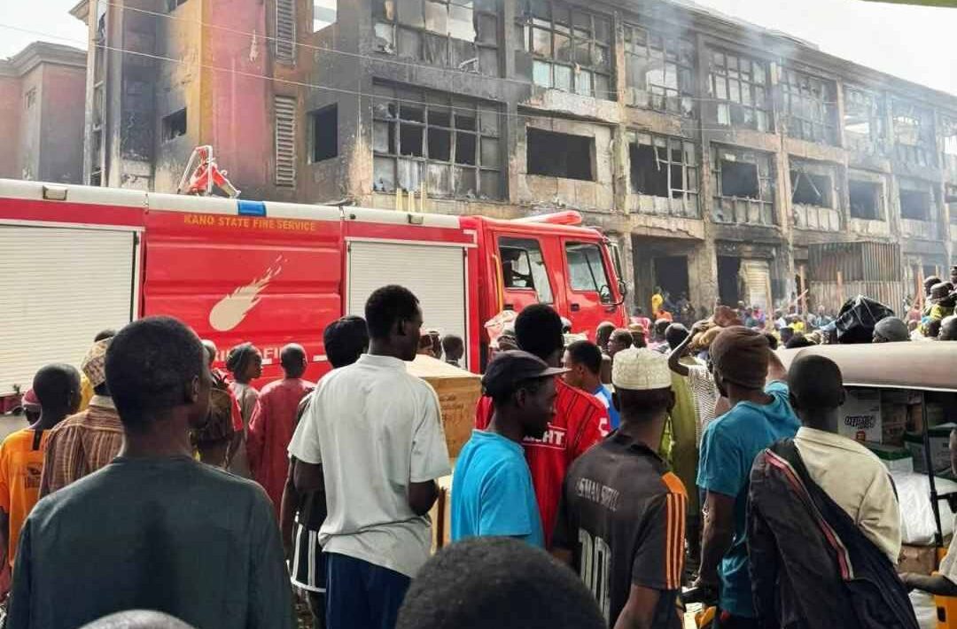 IMG 145050 19226 1771509057251