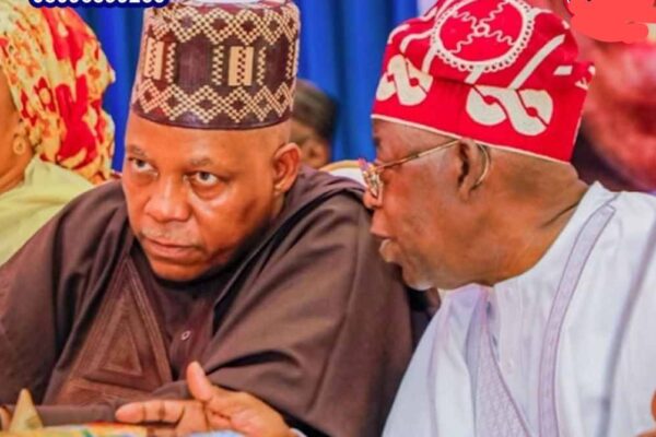 IMG 205315 15226 1771185293139