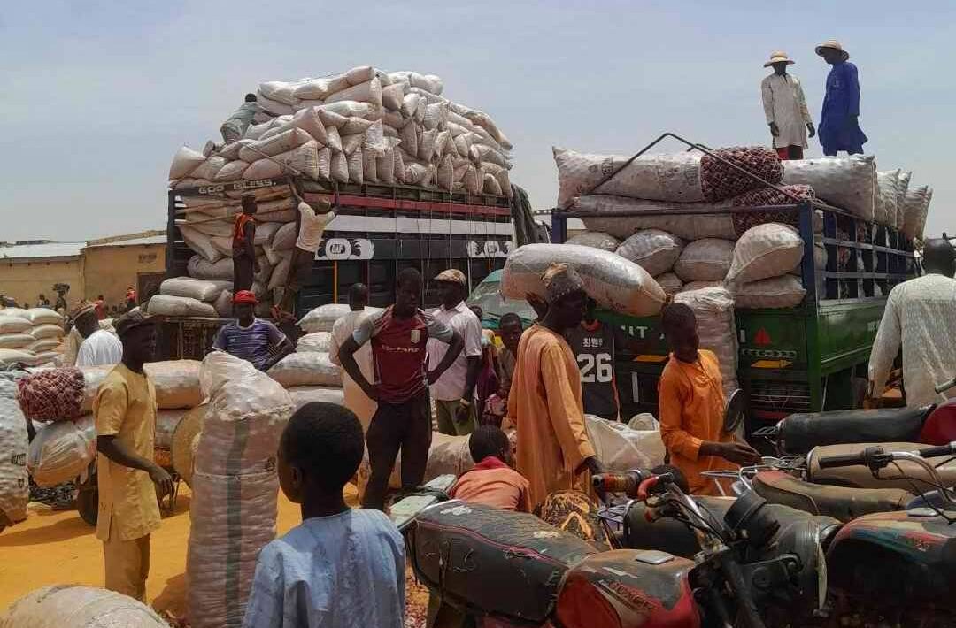 IMG 110503 18326 1773828351205