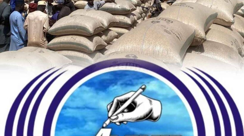 IMG 125130 19326 1773921098651