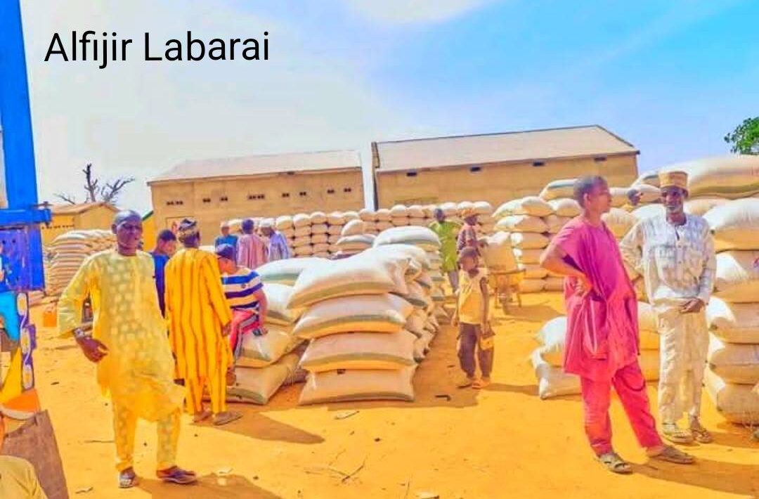 IMG 125619 17326 1773748667575