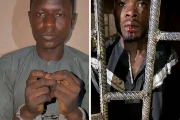 IMG 164854 11326 1773244144187