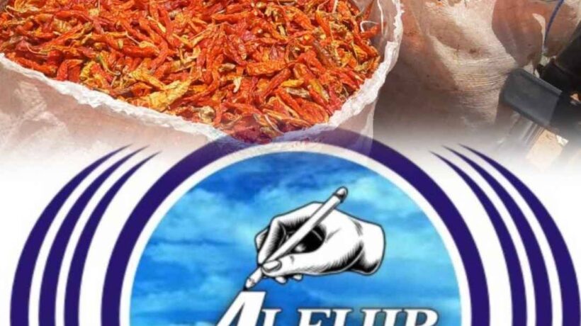 IMG 141247 07426 1775567579635